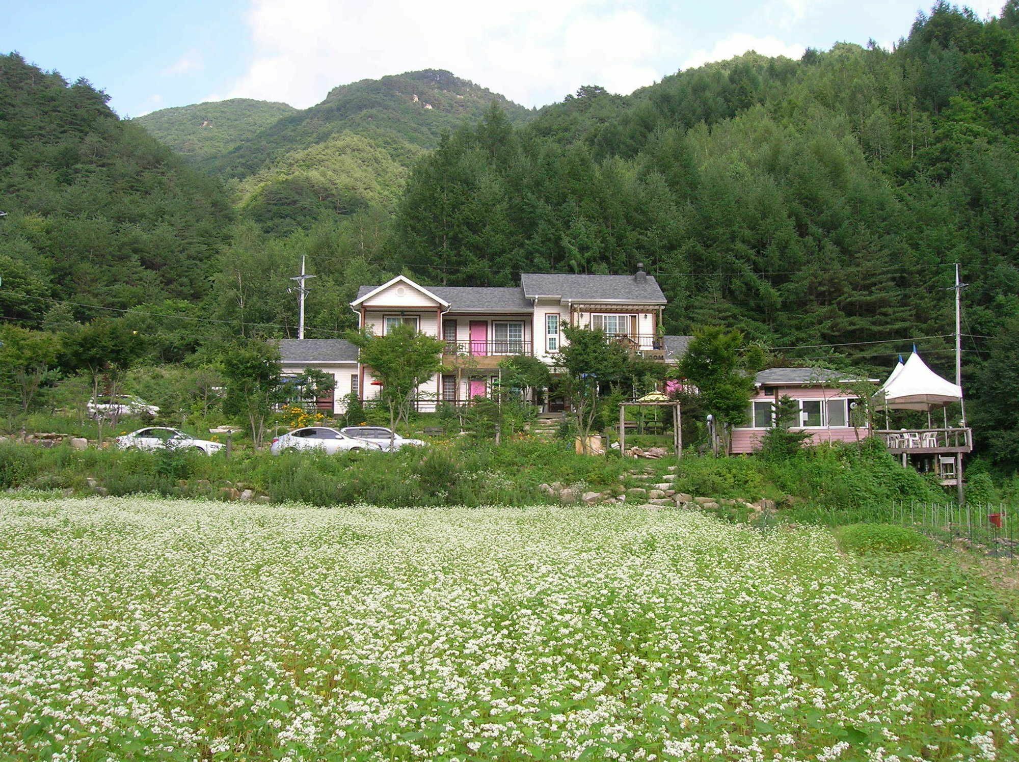 Geum Dang Lodge Jangphjong Kültér fotó